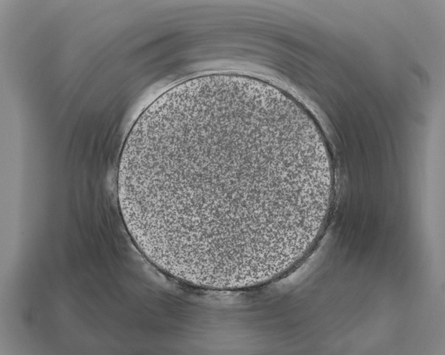 X0000112541529200909281049