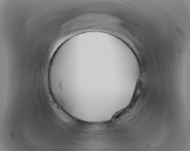 X0000112541530200909281049
