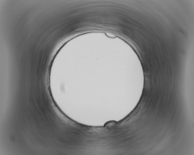 X0000112541531200909281049