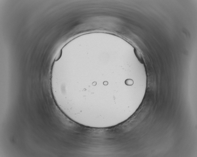 X0000112541532200909281049