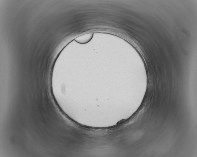 X0000112541533200909281049