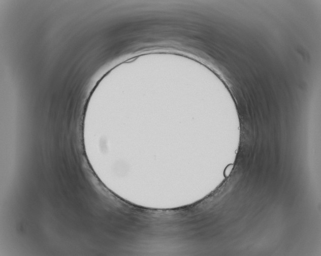 X0000112541534200909281049