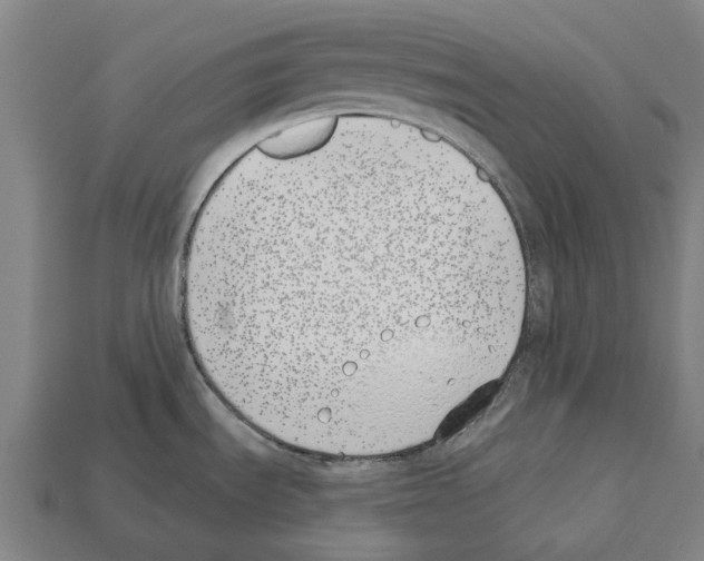 X0000112541535200909281049