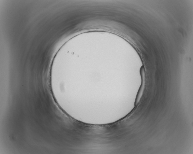 X0000112541536200909281049