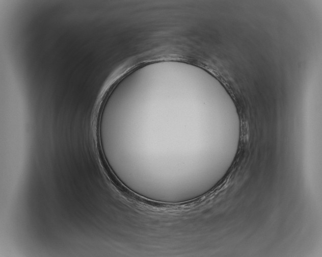 X0000112720004200908200956