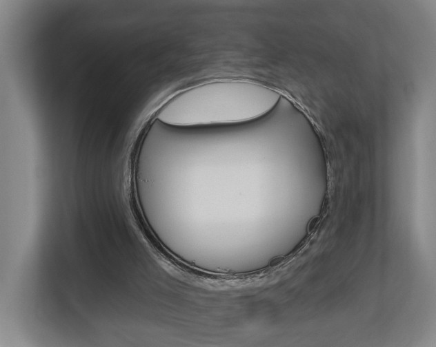 X0000112720005200908200956