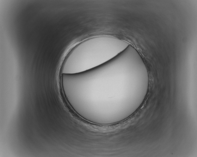 X0000112720006200908200956