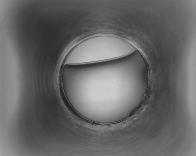 X0000112720007200908200956