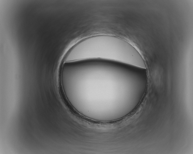 X0000112720008200908200956