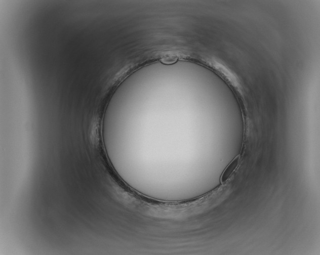 X0000112720009200908200956