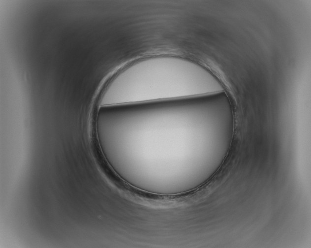 X0000112720012200908200956