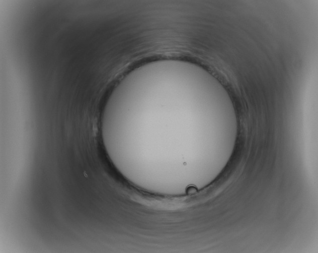X0000112720032200908200955