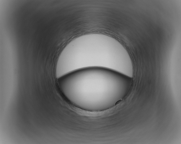 X0000112720039200908200955