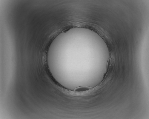 X0000112720043200908200955