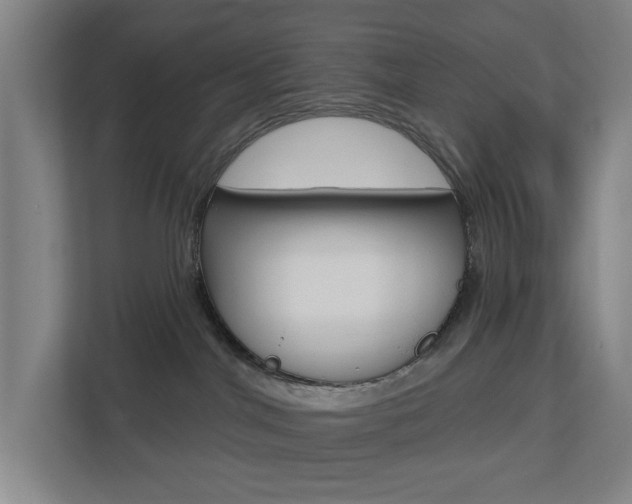 X0000112720044200908200955