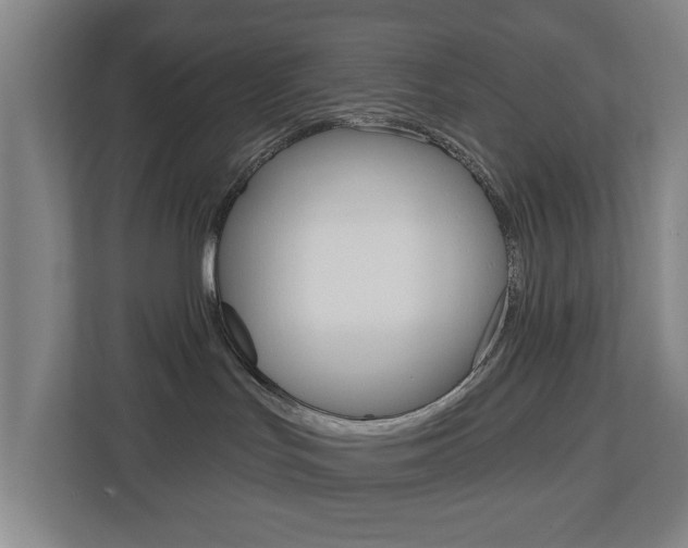 X0000112720047200908200955