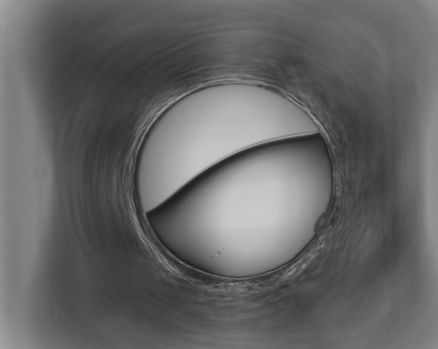 X0000112720049200908200954