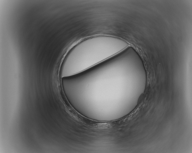 X0000112720050200908200954