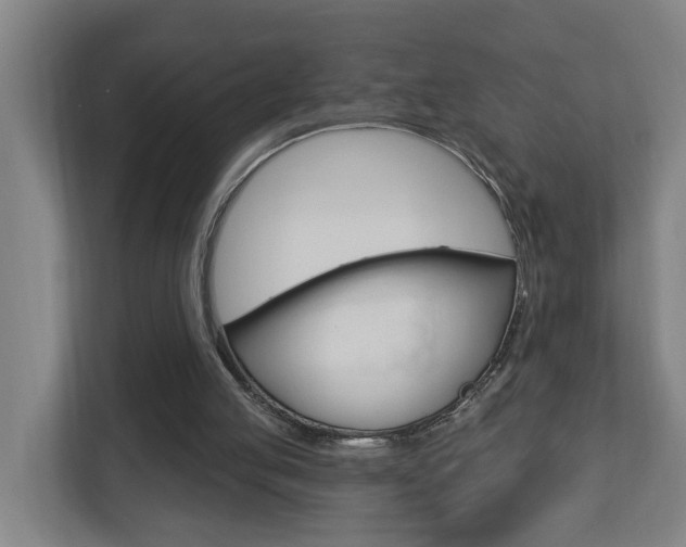 X0000112720053200908200955