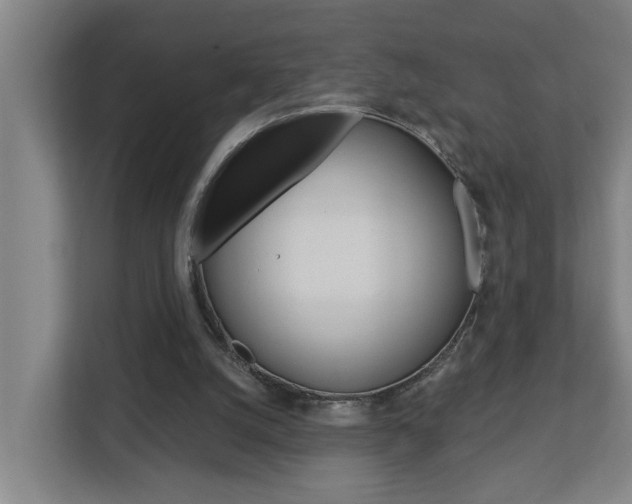 X0000112720056200908200955