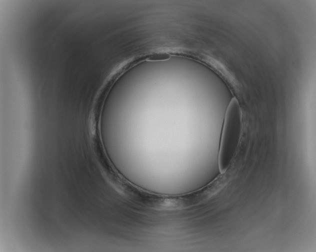 X0000112720060200908200955