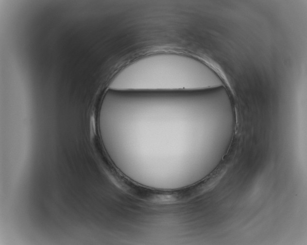 X0000112720061200908200955