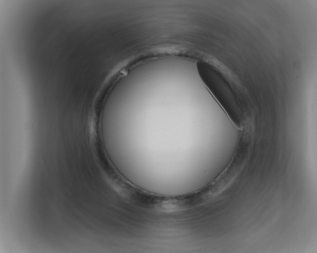 X0000112720064200908200955
