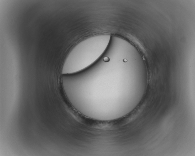 X0000112720065200908200955