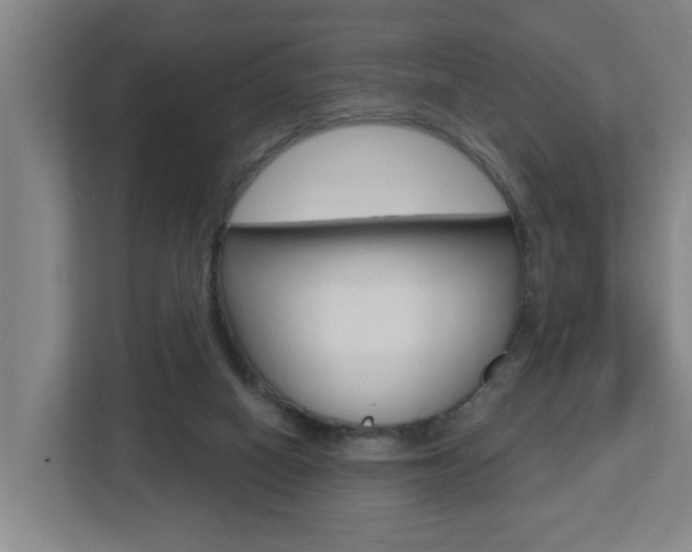 X0000112720066200908200955