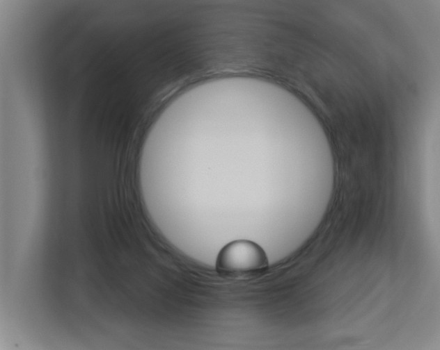 X0000112720068200908200955