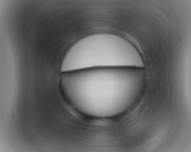 X0000112720069200908200955