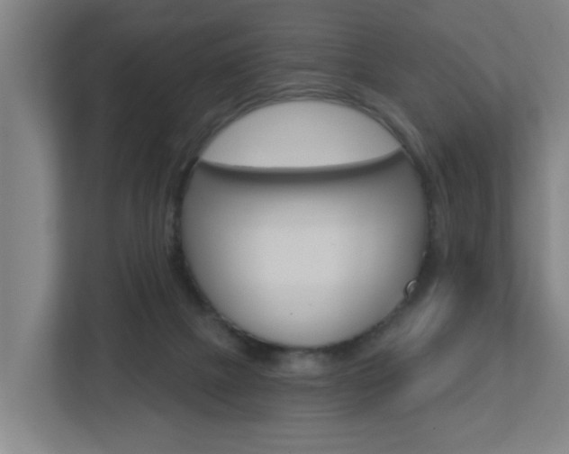 X0000112720073200908200955