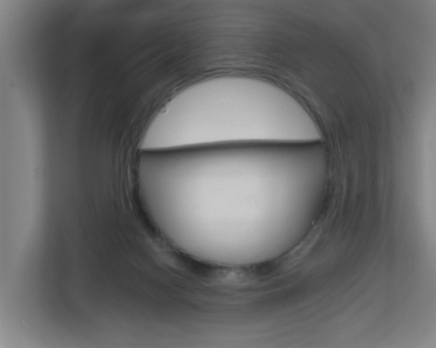 X0000112720074200908200955