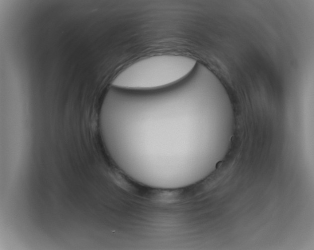 X0000112720081200908200955