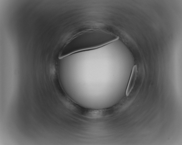 X0000112720084200908200955