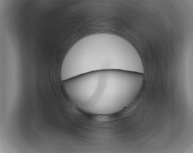 X0000112720085200908200955