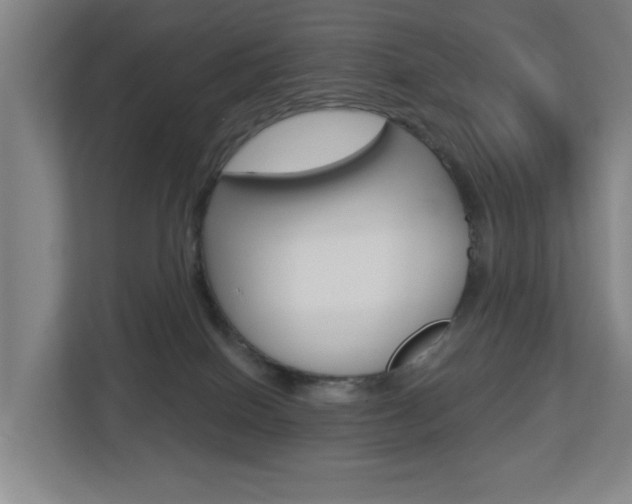 X0000112720086200908200955