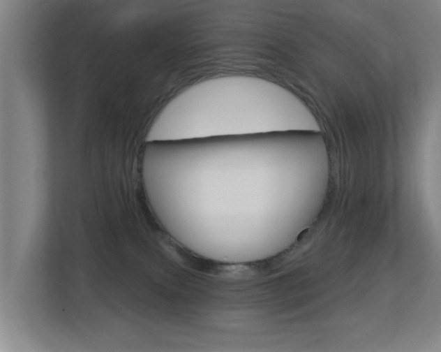 X0000112720087200908200955