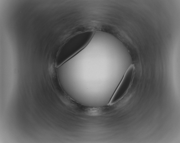 X0000112720088200908200955