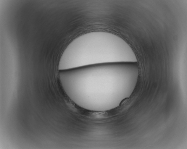 X0000112720089200908200955