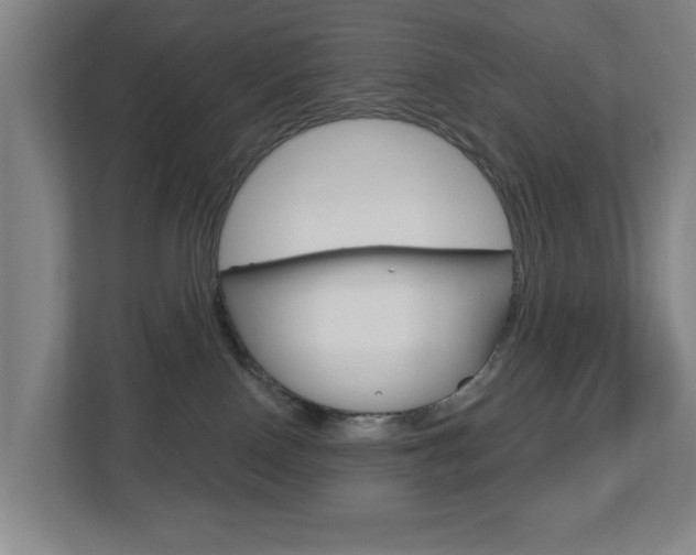 X0000112720090200908200955