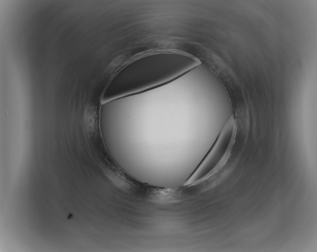 X0000112720092200908200955