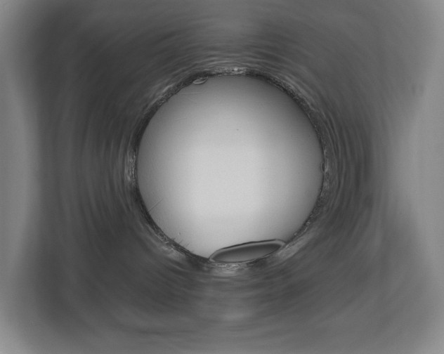 X0000112720096200908200955