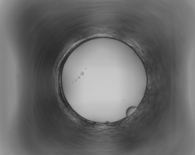 X0000112720098200908200954