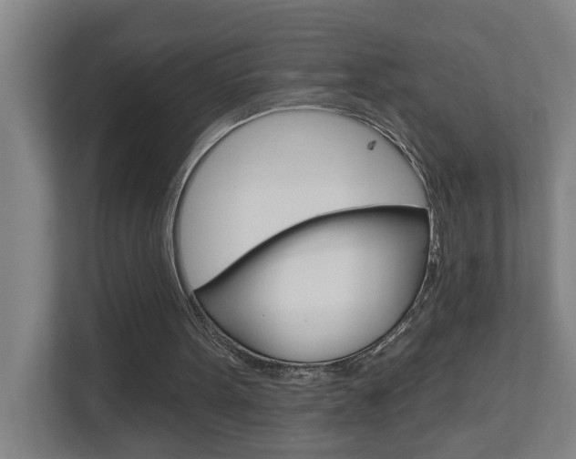 X0000112720099200908200954