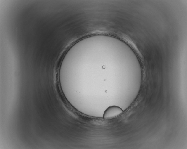 X0000112720106200908200954