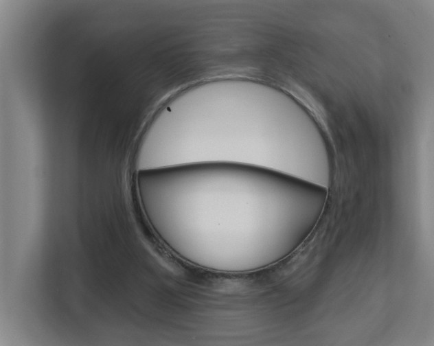 X0000112720107200908200954