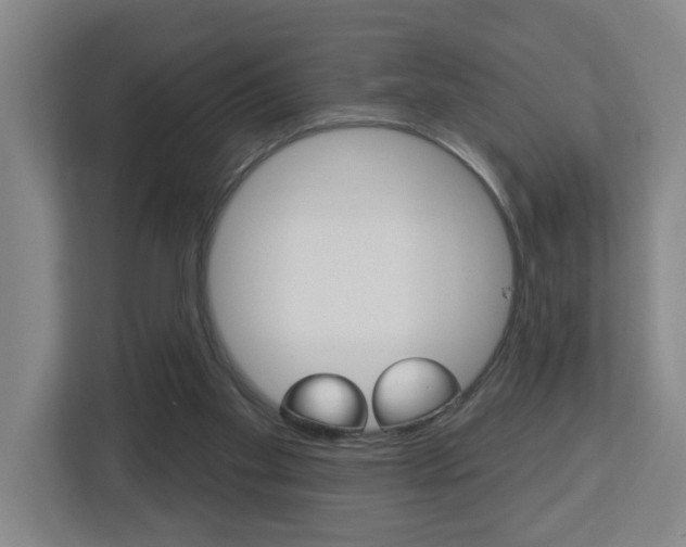 X0000112720109200908200954