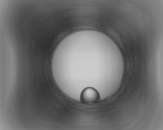 X0000112720116200908200954
