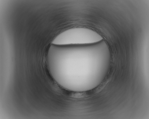 X0000112720129200908200954
